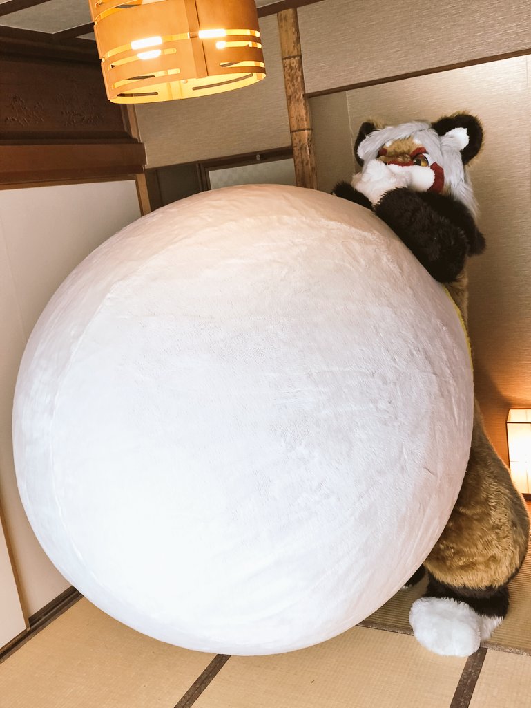 秋月@療養中 tweet media
