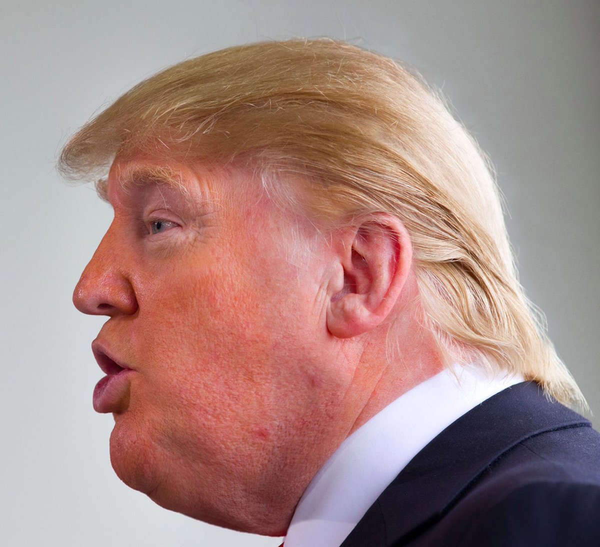 DonaldTrumpNyet tweet picture