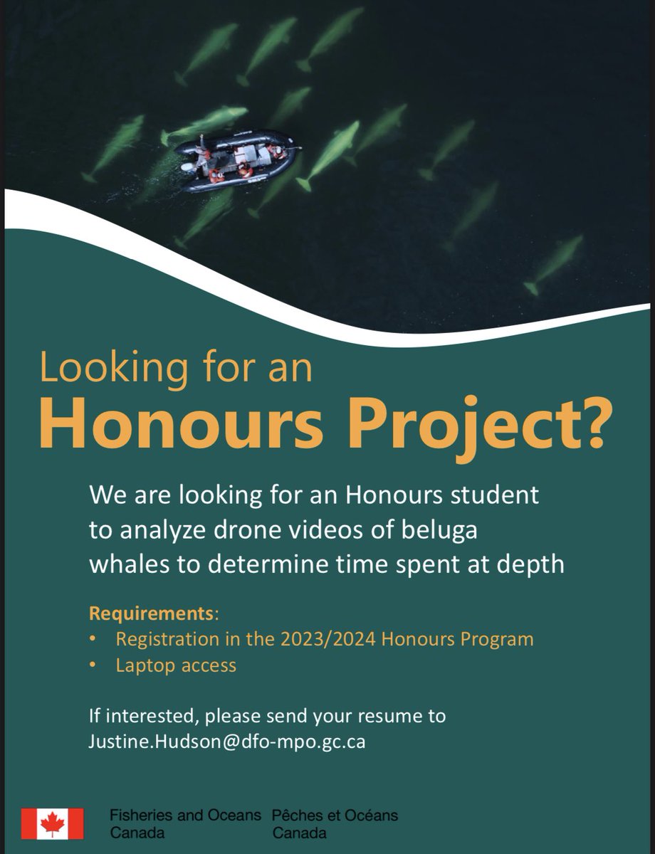 Hey @uwinnipeg biology students, we’re looking for an honours student to analyze drone videos of beluga whales. Send your resume my way if you are interested!