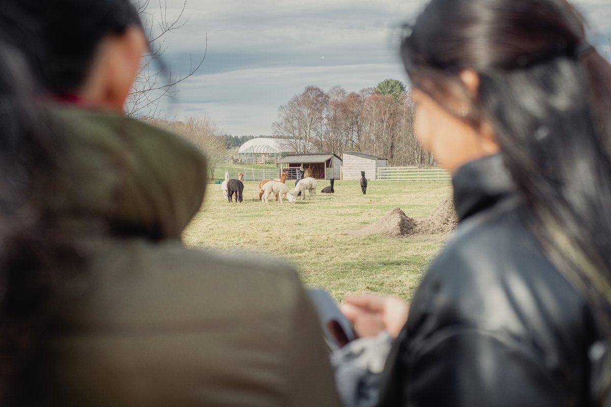 Innovation_Sch's tweet photo. Winter School Day 2 - Students of the Whisky group walked around Romach Hill this morning, reflecting on the smells, sights and indigenous plants that the water goes through before becoming whisky. 

With students from @KISDonline &amp; @ElisavaBCN 

Photos by G.Welisch https://t.co/9KVVDQwzB3