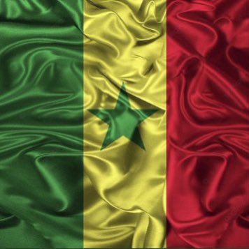 SWollou's tweet photo. The flag                         The face 🇸🇳 https://t.co/tcOlkQoowY