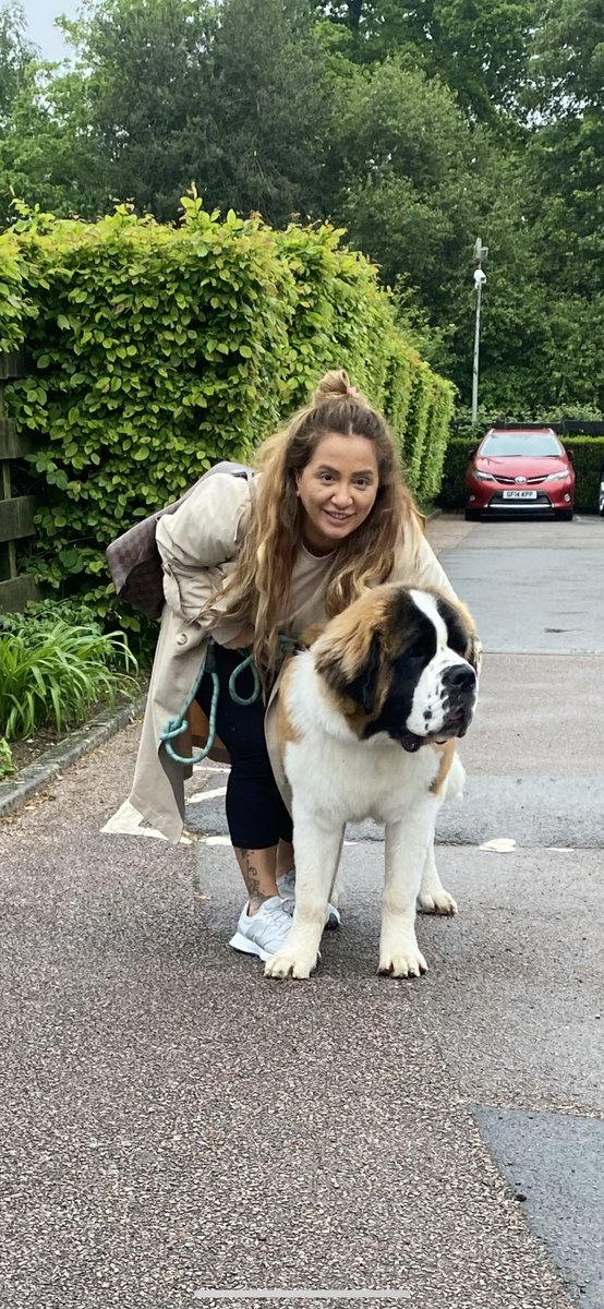 #4nisansokakhayvanlarigunu  dilsiz masumiyetler❤️