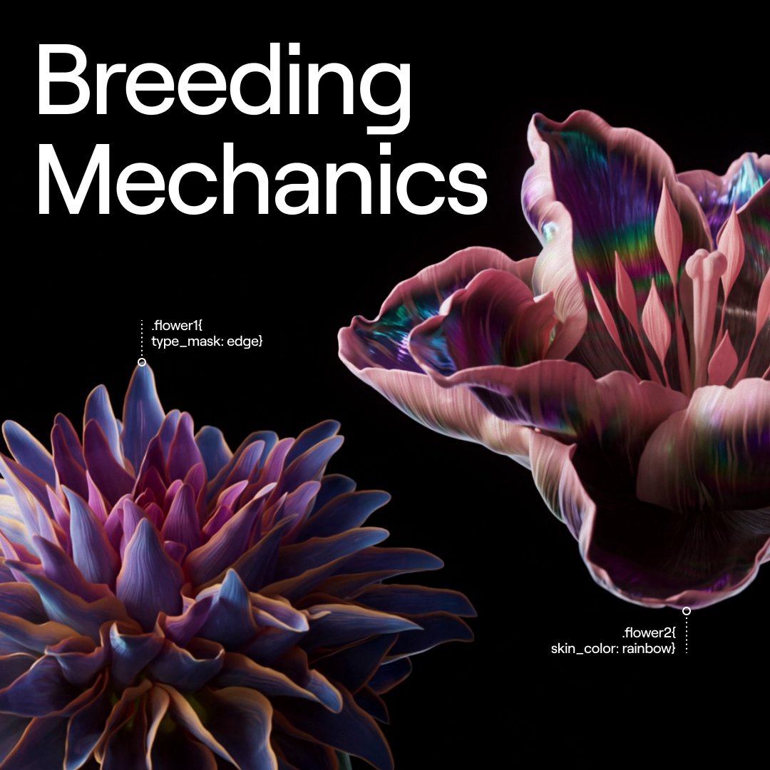 ogdotart's tweet photo. 🌷#Heterosis flower breeding is based on 3 possible mechanics. #NFTs either inherit corresponding genes from their “parent” flowers, swap main and shadow genes, or mutate to reveal completely new genetic traits - but what does that actually look like?   

See the thread👇 https://t.co/42kErRQJ8G