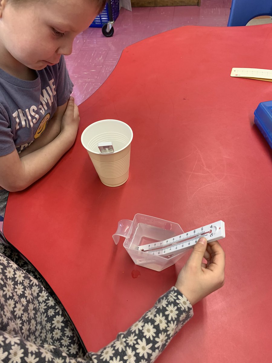 TeachJenFischer's tweet photo. Investigating temperature and learning to use thermometers #FTSFireballs https://t.co/Oovupd3x4Y