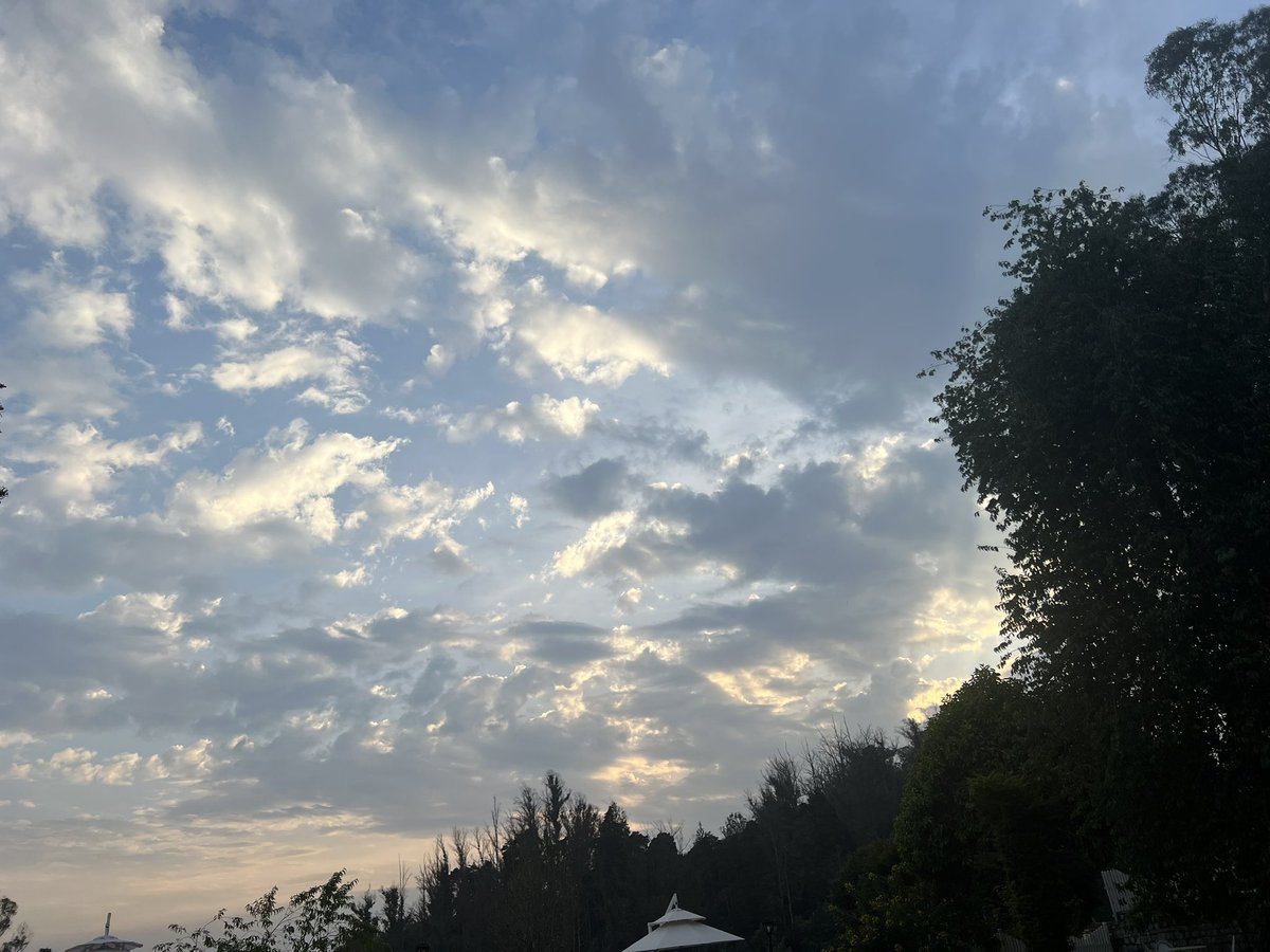 rmbhatia58's tweet photo. #iPhone #iPhone13ProMax #NatureBeauty #photograghy @Apple #Ooty #TajHotels #savoy https://t.co/yQsDFEmMI4