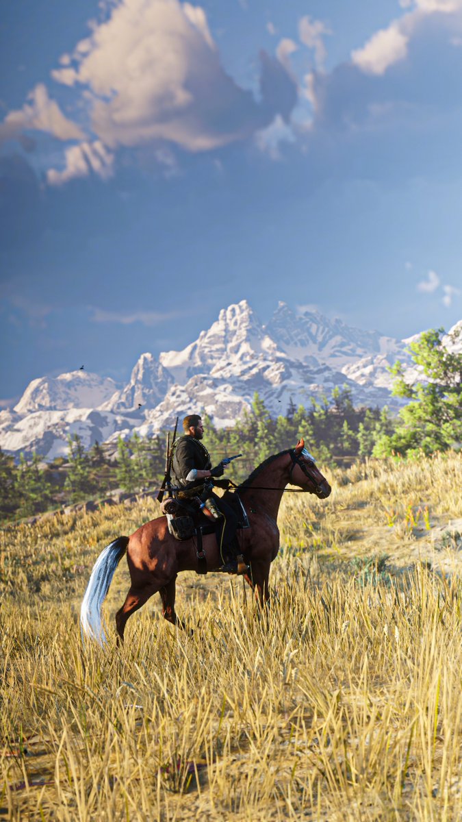 VolaticWolf's tweet photo. Red Dead Redemption 2 https://t.co/204dJ9zGcF