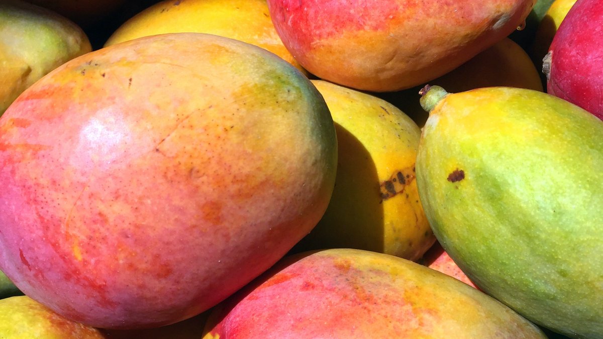 Detectan la enfermedad de la mancha negra bacteriana en #mangos 

Especialistas del <a href="/intaargentina/">INTA</a> la detectaron en zonas Formosa. Se trata de una importante problemática sanitaria y puede provocar pérdidas de rendimiento de hasta el 100 %

→ bit.ly/3KsVBD5