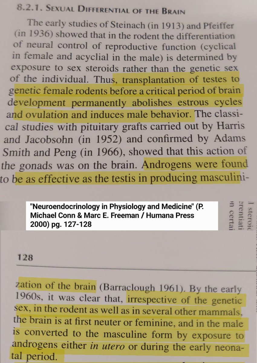 the biology of being trans is really interesting and it sucks that it will never just be a cool phenomenon you can talk about in that way because of weird sexual politics. did you know they turned lab rats trans
