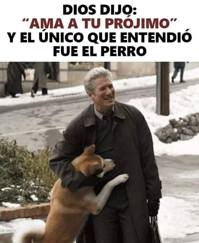 GRamirezF_D12's tweet photo. Buenos días Feliz martes ✨💖 https://t.co/Id1oFA2DaG