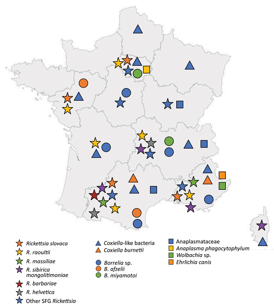 EIDjournal's tweet photo. #Bacterial agents detected in 418 #ticks removed from humans during 2014–2021, France, EID journal, https://t.co/QD3knN9XYb https://t.co/hnSHzYCCNb