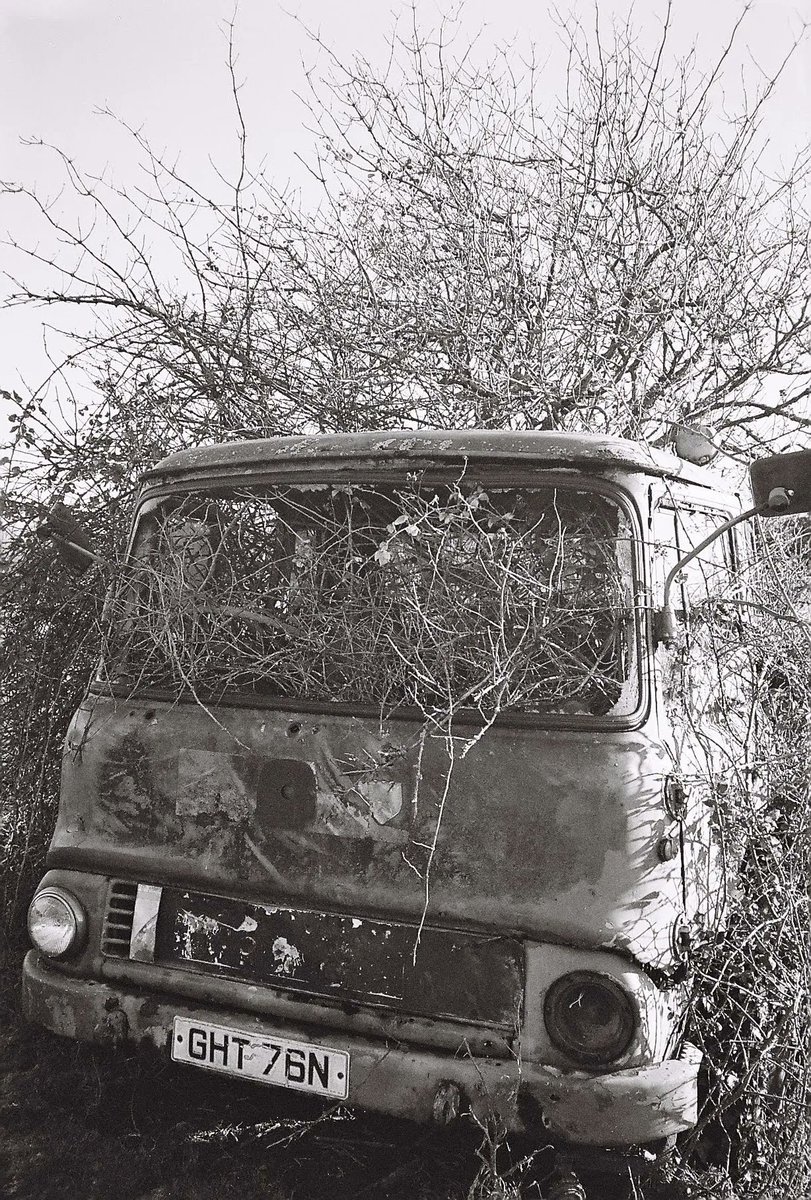 noodsradio's tweet photo. A disorderly mixtape delivery to celebrate incoming spring and digging for deep rooted joy in everyday ordinariness. Featuring heart throbbing tracks from Letta Mbulu, Connie Converse, Angel Olsen + more. Cord's Mixtape Delivery Service live from 5pm // https://t.co/XEyBvLPZrz https://t.co/fi9MvCMuvT