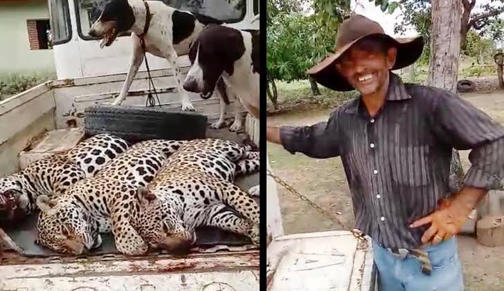 brndsz05's tweet photo. Matador da onça pintada.
RT, viralizar. https://t.co/U6bHo90wqX