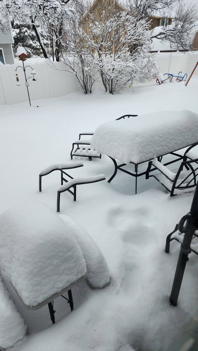 CLSigulinsky tweet media