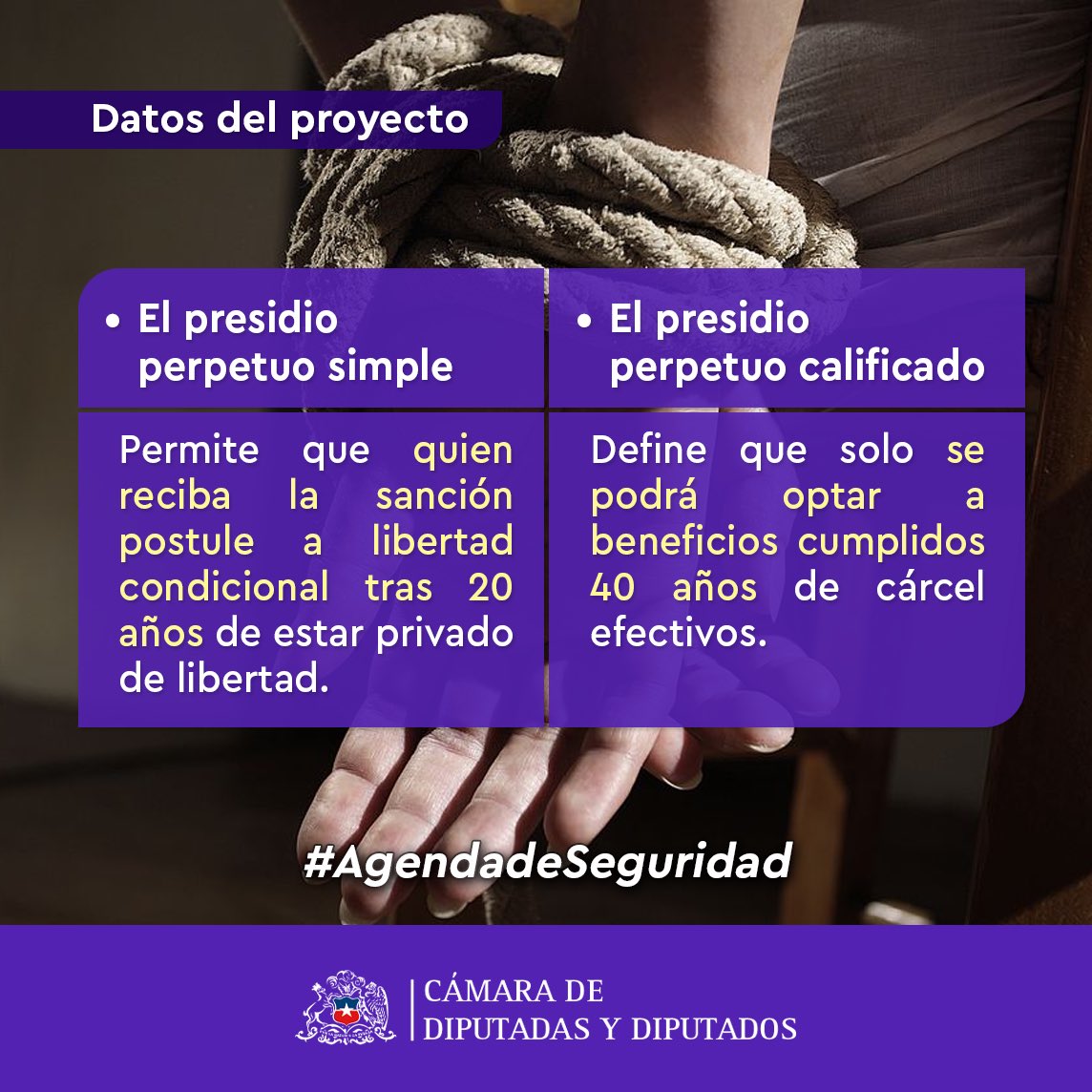 Camara_cl's tweet photo. ✅#DelitodeSecuestro
👉🏻Cámara despachó a Ley el proyecto que aumenta la pena del delito de secuestro.
👇🏻Aquí te explicamos de qué se trata 🤓
📲Para más información, visita https://t.co/bcfTQRJKQA
#DatosdelProyecto https://t.co/PX6T8XRWwh