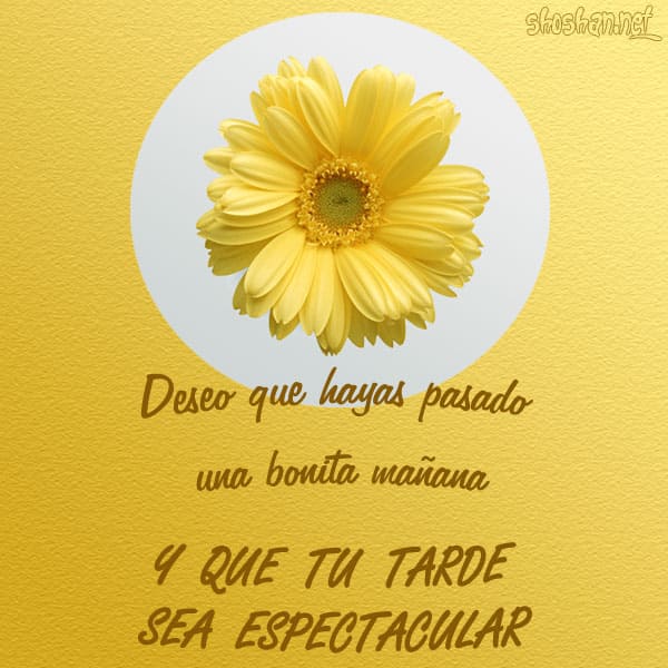 #SemanaMayorEnAmor @2702_decarballo @alejandraAp1226 @Amoreidaniajose @Andinita2021 @angie100p @AshlyPaty @Briggittems1 @Caav79 @EmyMay75070510 @feentidios35 @freddyp44055243 @ymtineoj @LaOrientalVe @JoheActiva10 @bravoa1320