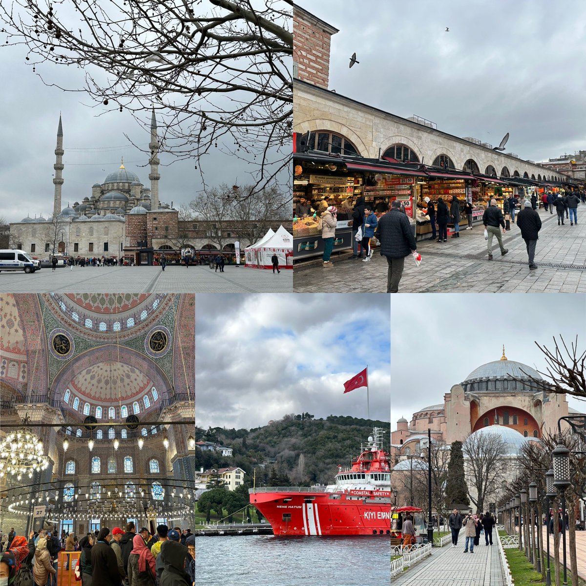 Harrison W. Inefuku tweet media