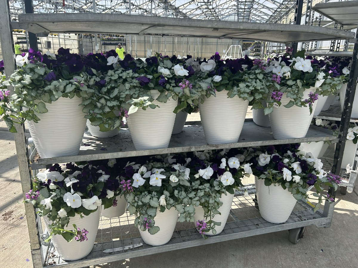 GCG Merchandising tweet media