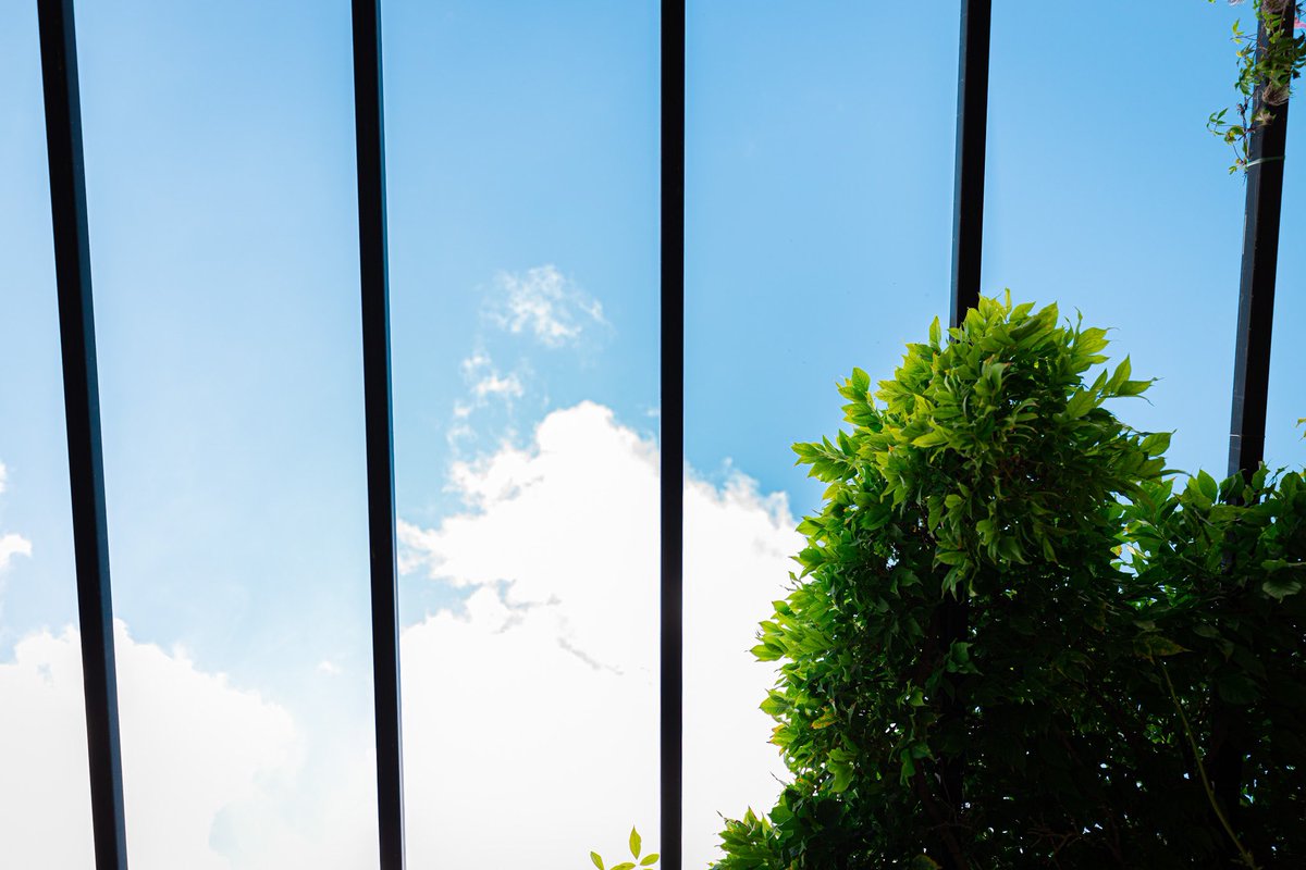 Altius Images Ltd. tweet media