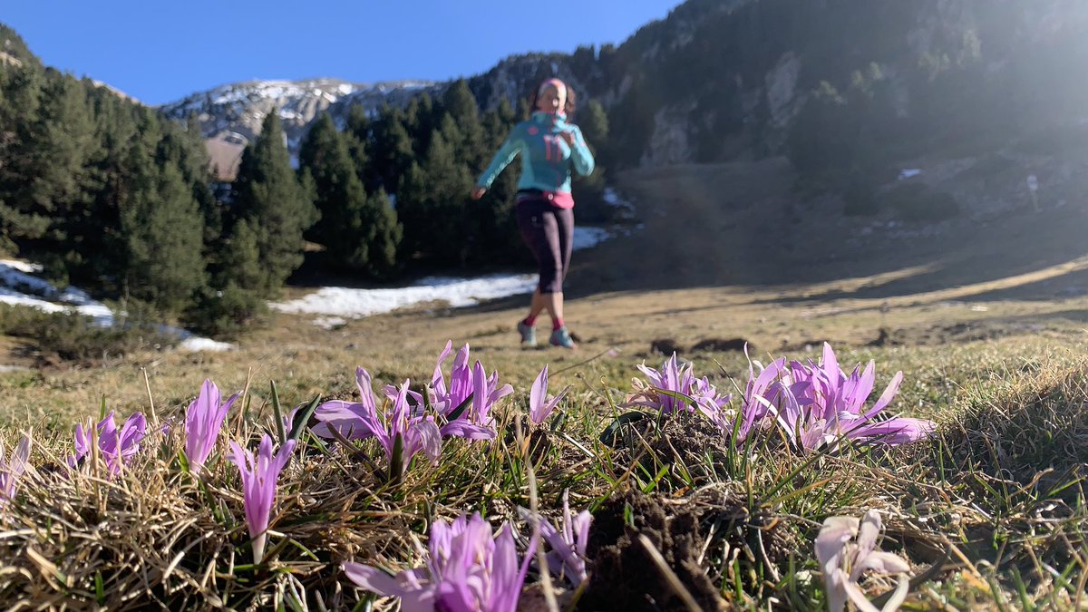 marfauped's tweet photo. #LaTosa des de #Comaoriola amb #vent de companyia 🌬️😅 #Cerdanya #PNCadíMoixeró #Catalunya https://t.co/OtrwxWzXGu