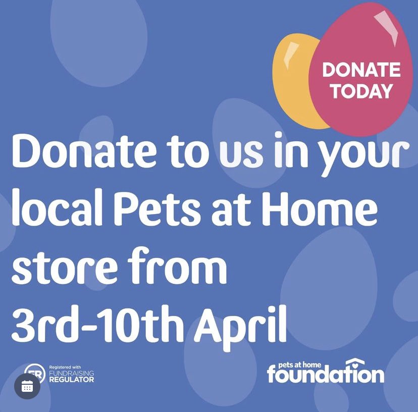 we are so happy to announce an Easter event at Pets At Home Pollokshaws this week - Friday to Sunday - the 7th to the 9th - between 2pm and 4pm. come and meet our lovely volunteers and their hounds, have a chat, and donate if you can!
