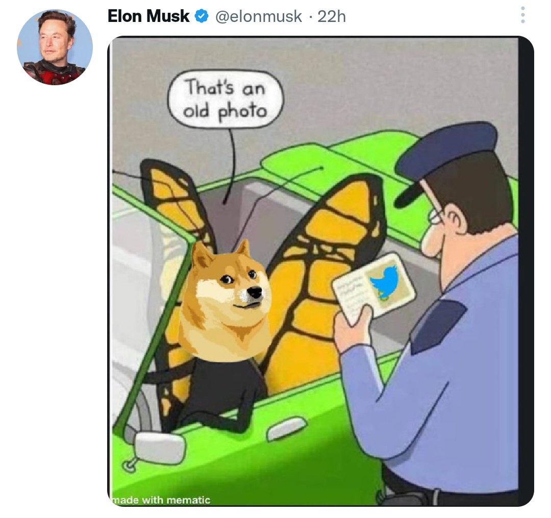 Tech20Free's tweet image. Twitter&apos;s traditional logo appears to have been replaced by the dog at the centre of the &quot;doge&quot; meme and subsequent Dogecoin cryptocurrency..🐕🐦

#ElonMusk #dogememes #cryptocurrency #Twitter #Logo