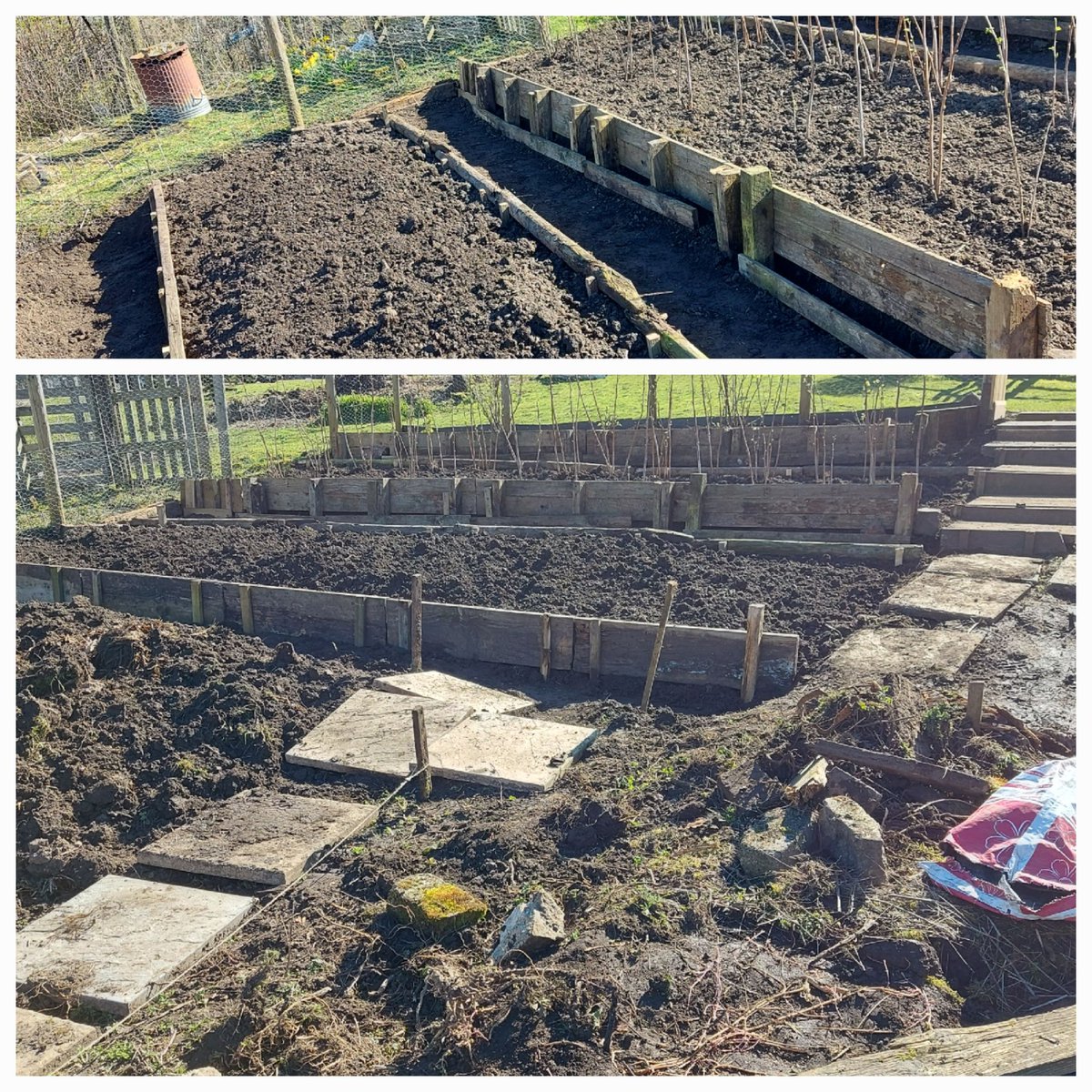ToavesG's tweet photo. Further progress. 3rd bed complete &amp; 2 more beds marked out.

#toaves #allotmentrenovation #newbeds #tamingtheslope #terracing #allotmentlife https://t.co/IZrRzBSdTt