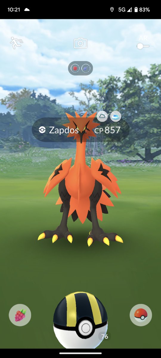DeerintheS's tweet photo. It came, it saw me, and it got the f*** away from me 😭😭😭 byeee again G. Zappy. You're gonna be mine one day #PokemonGO #ItRan #pokemon #galarianzapdos https://t.co/Br3V4zfzdK