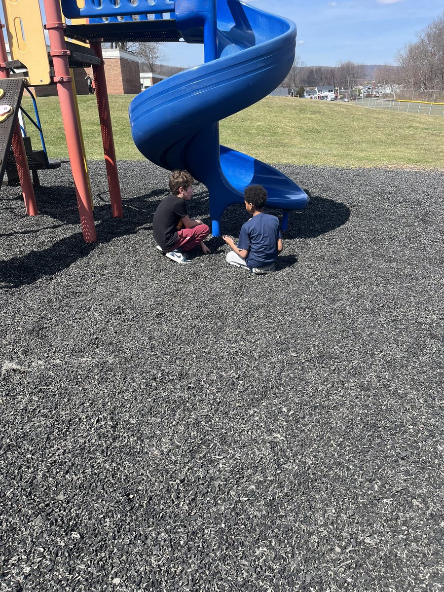 Mountain View School tweet media