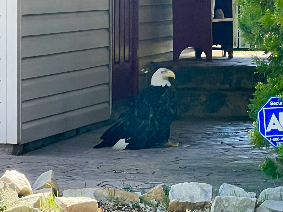 Nicki Jhabvala tweet media