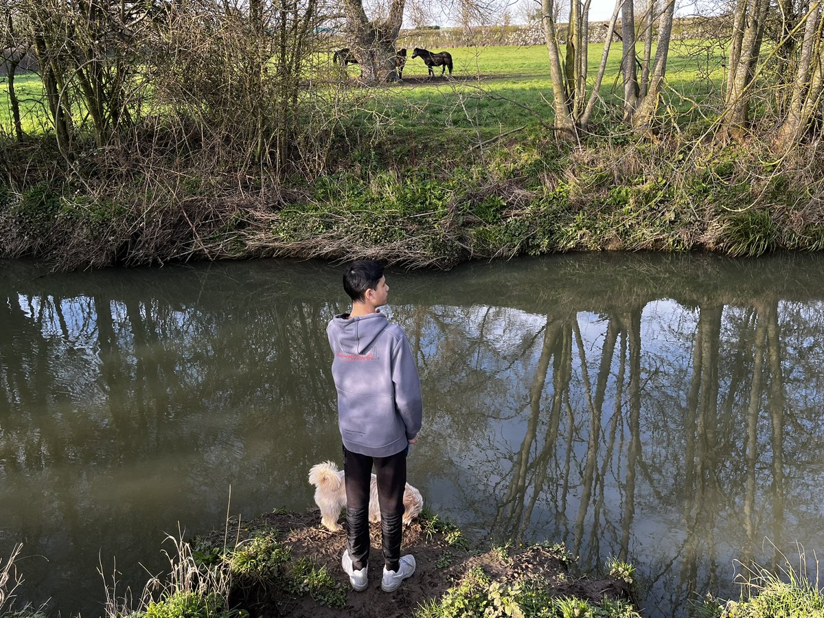 MsSinjal's tweet photo. Taking the boys for looooong walk. Say hi to Proxy&Melvin and the deers after loooong time 😍😍😍😍#welcomingspring https://t.co/SCdMcRuDxb
