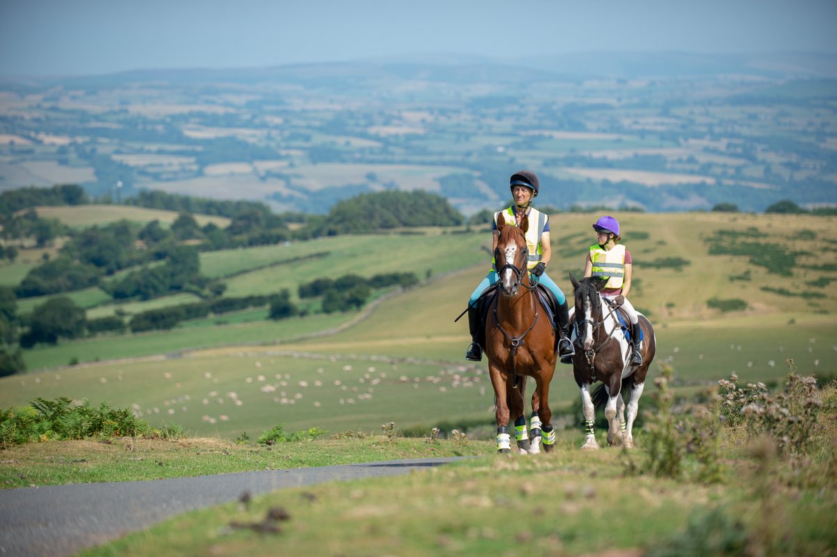 British Equestrian tweet media