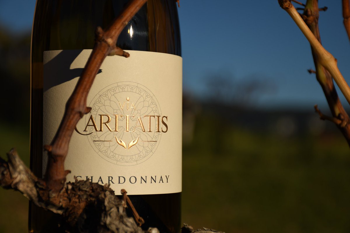 Via_Caritatis's tweet photo. Ne manquez pas de venir déguster les vins Via Caritatis au salon Découvertes en Vallée du Rhône le 5 Avril 2023 au Palais des Papes d'Avignon.
STAND E65
#vins #vindelavalléedurhône #rhonevalley
#rhonevalleywines #viacaritatis #rhonewine #wine
#vin #winetasting https://t.co/sEvxn3Y509