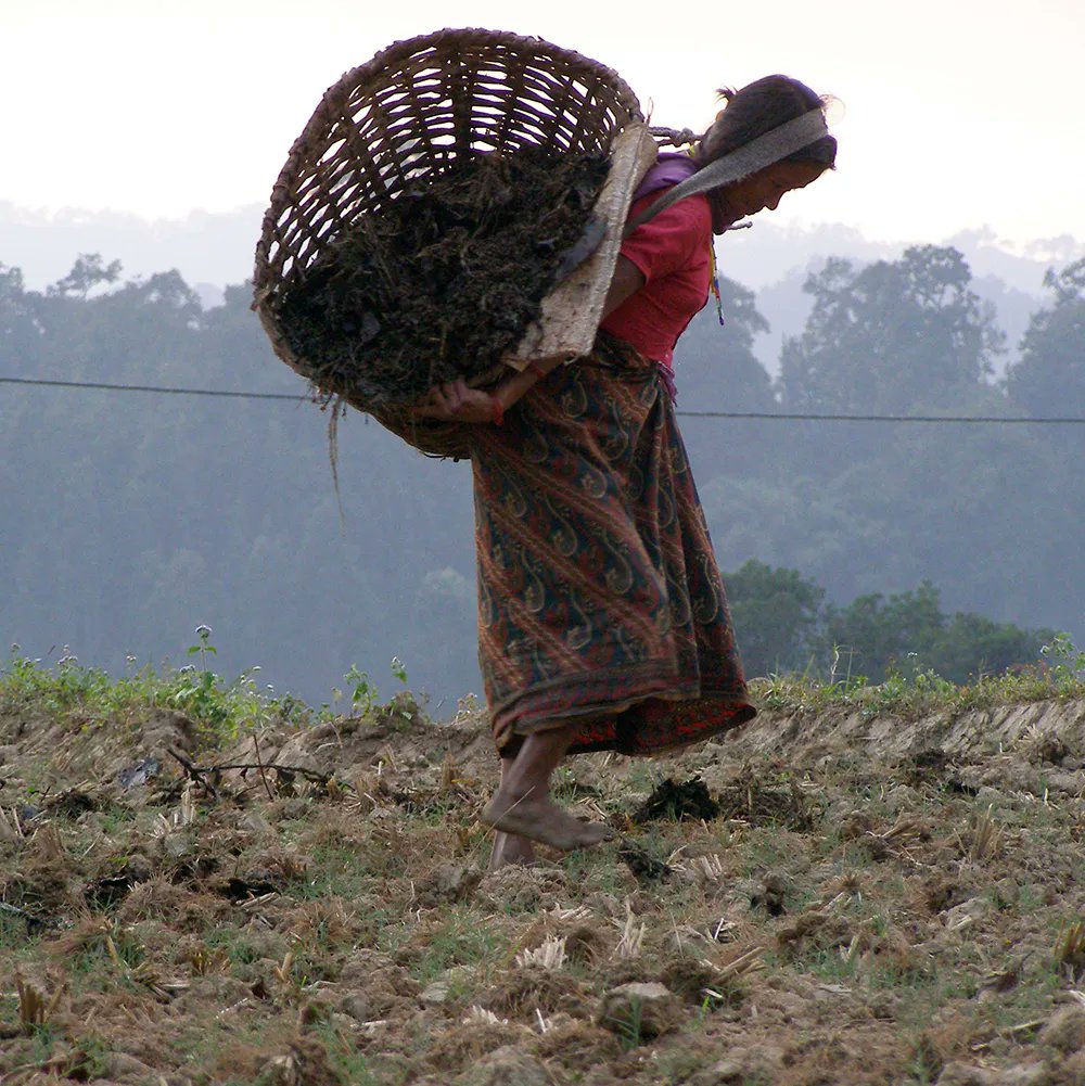 Groundswell International (@groundswellint) on Twitter photo The authentic solution to #foodinsecurity for many communities is #agroecology & #foodsovereignty – the right to healthy & culturally appropriate food produced thru ecologically sound & sustainable methods + the right to define one’s own food and agriculture systems. The authentic solution to #foodinsecurity for many communities is #agroecology & #foodsovereignty – the right to healthy & culturally appropriate food produced thru ecologically sound & sustainable methods + the right to define one’s own food and agriculture systems.