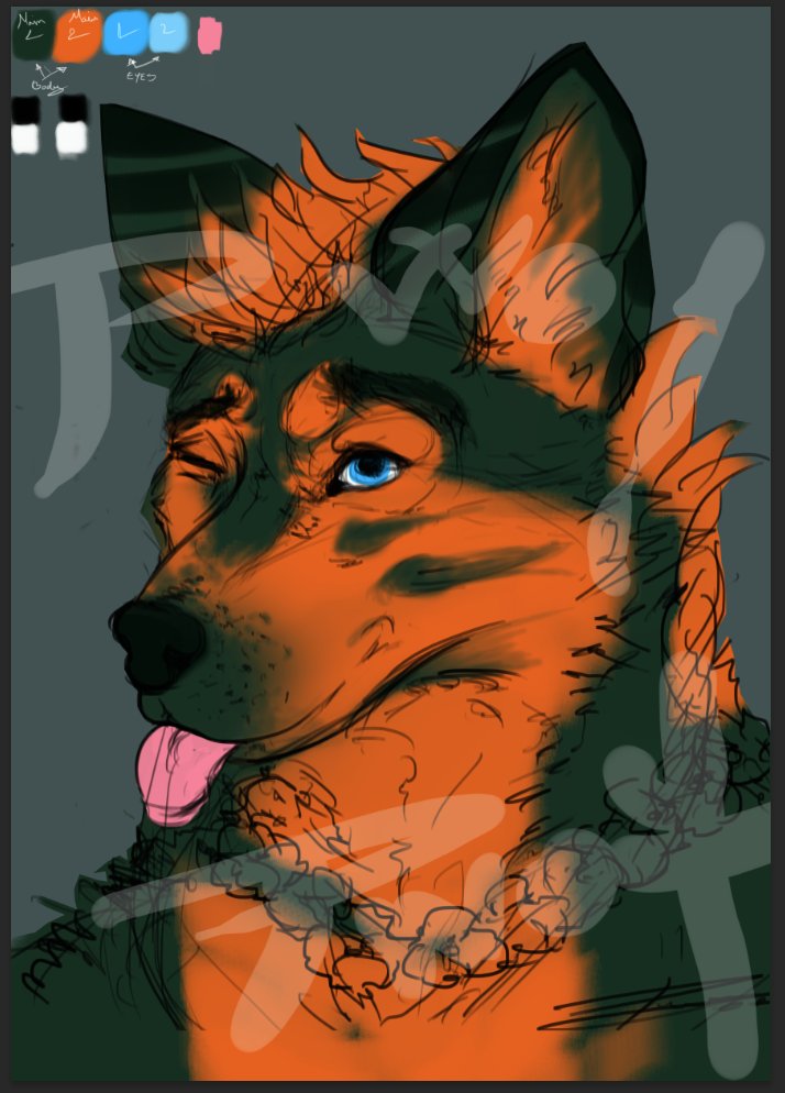 PWOFY goes WOFFY tweet media