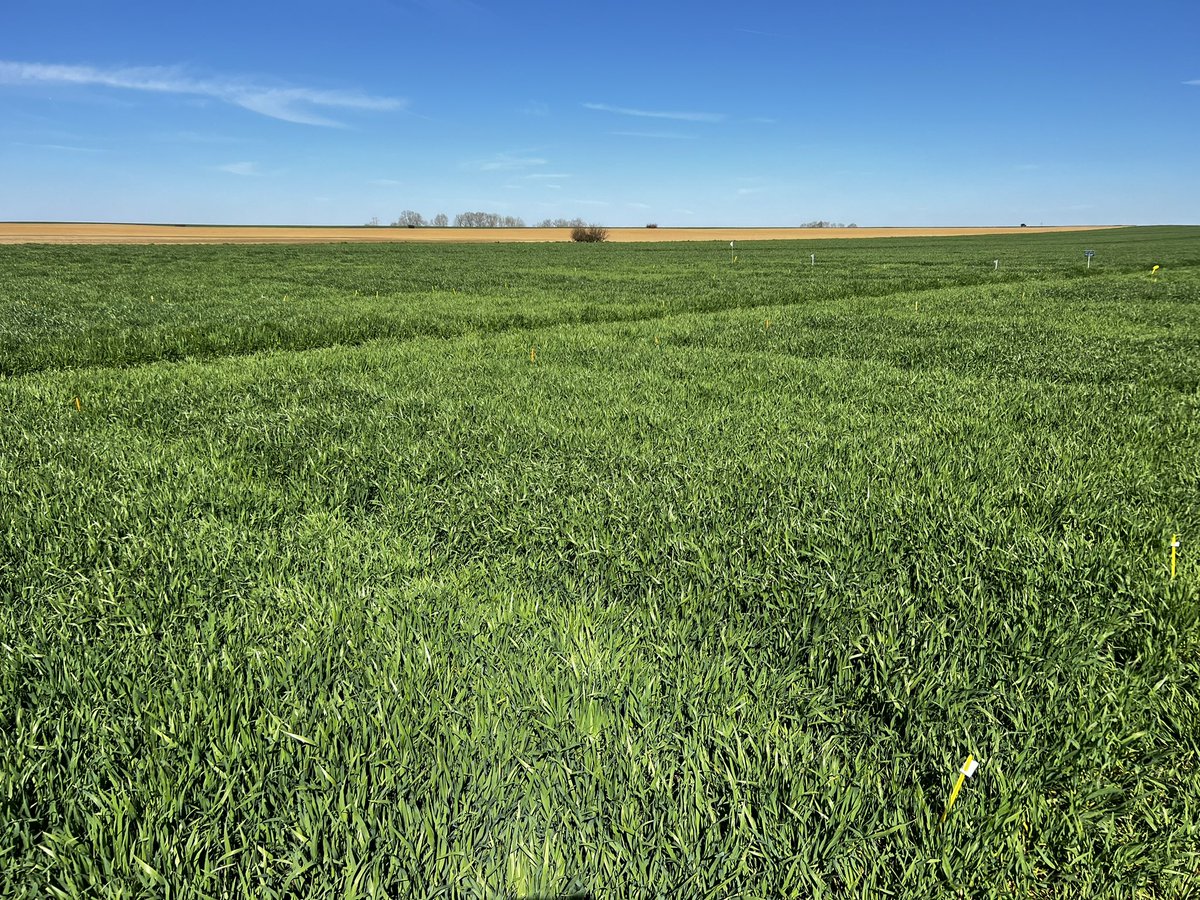 Val’epi, service agronomie tweet media