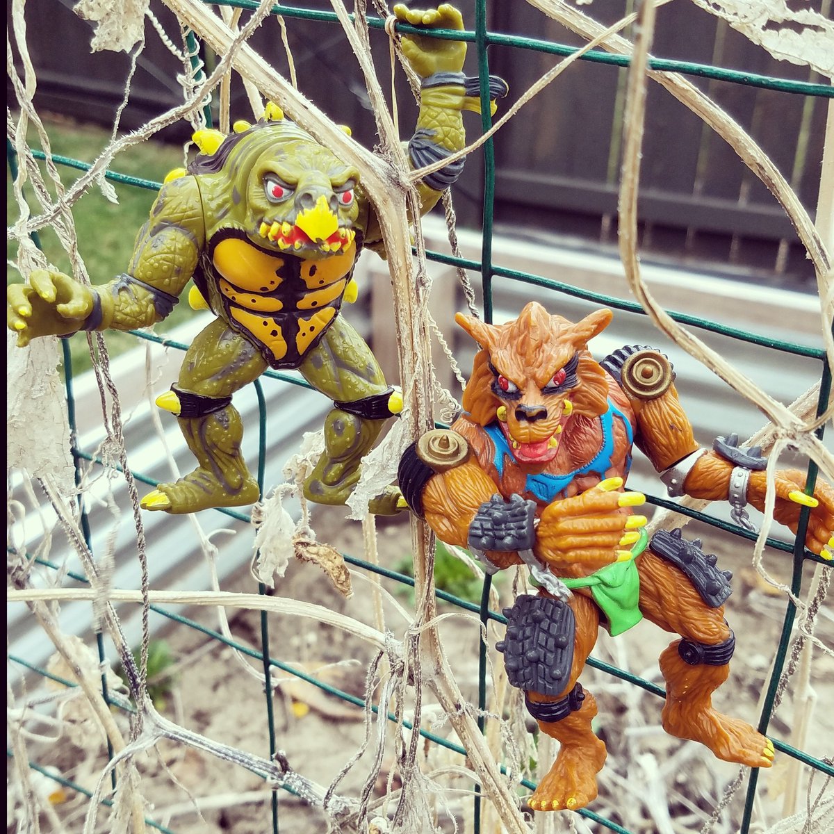hilary_hildo13's tweet photo. FINALLY got Tokka & Rahzar #TeenageMutantNinjaTurtles #tokka #rahzar #90stoys #90s https://t.co/0ifBCalwty