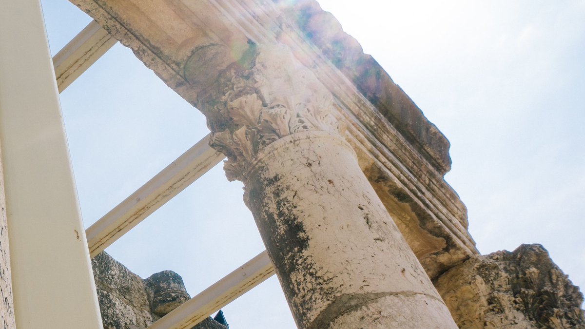 EasterNow tweet media