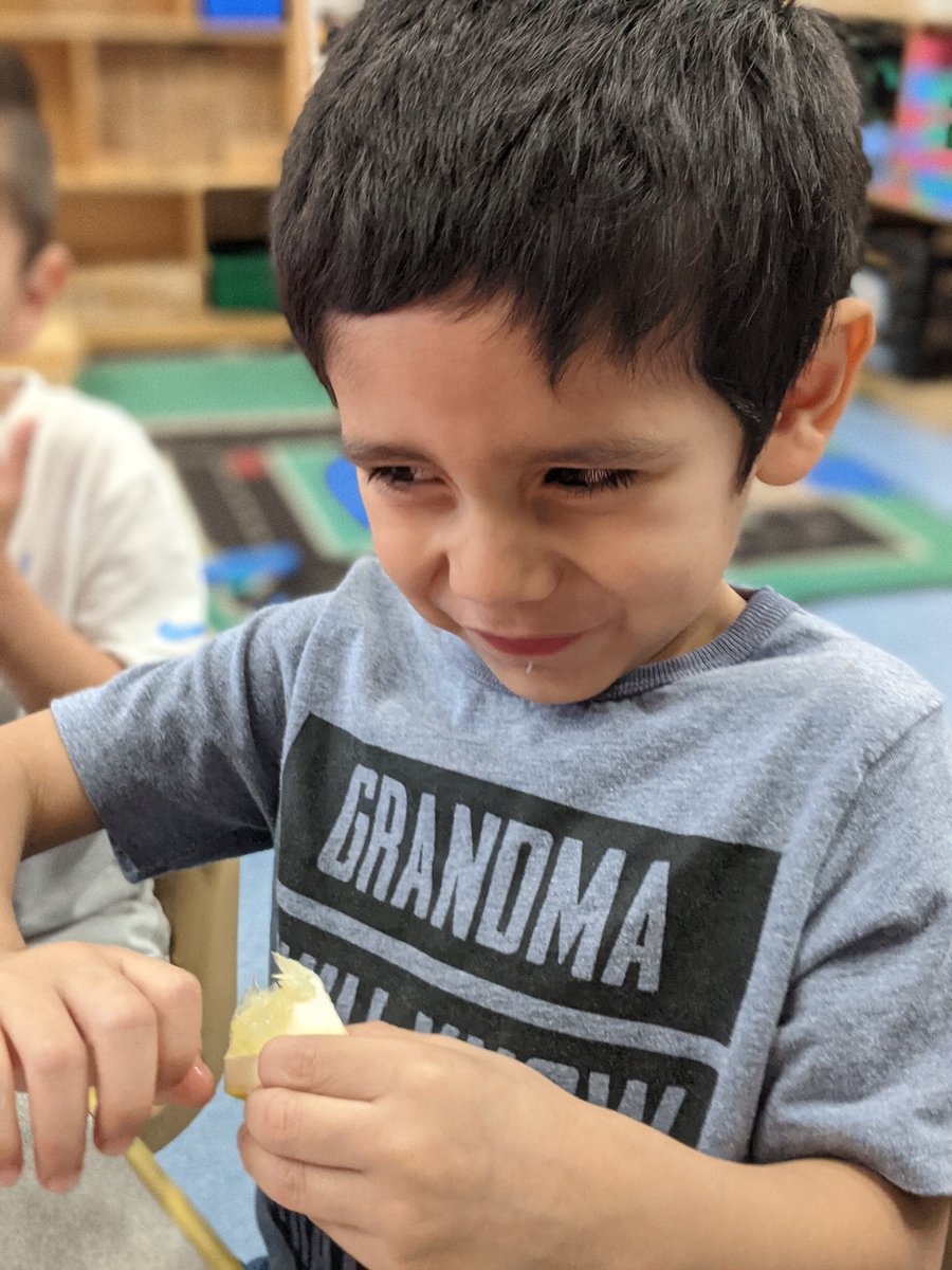 Sherri88198778's tweet photo. Tasty Tuesday to Celebrate Week of the Young Child!! Tasting lemons, kiwi, pickles, and peeling carrots! @rhandrewselem  @ncdhhs @ABSSPublic
 #TINYKIDSBIGFUTURE #ALAMANCEWOYC #WOYC23 #InvestinECE #RaiseNC https://t.co/VwPqupobTi