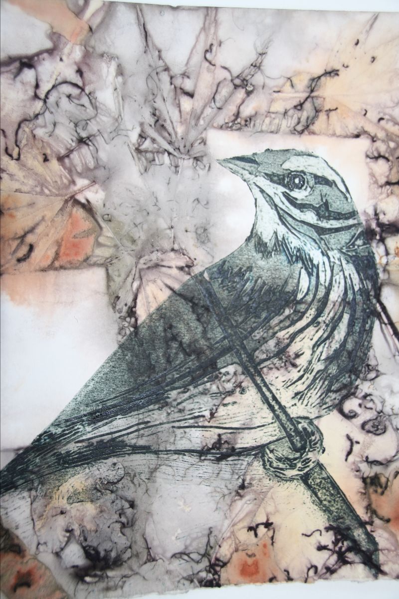 SUMMER TERM AT the yard:ARTspcae, Cheltenham. Develop your creative practice through a 10 week course or an intensive weekend workshop. Book now! - mailchi.mp/33ca7d566570/w…