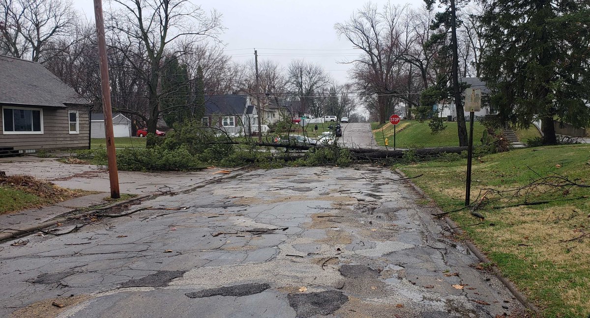 WHBF's tweet photo. A tree blocks 39th Street in Rock Island at 22nd Avenue. #qcweather https://t.co/x1P1Ryisz1