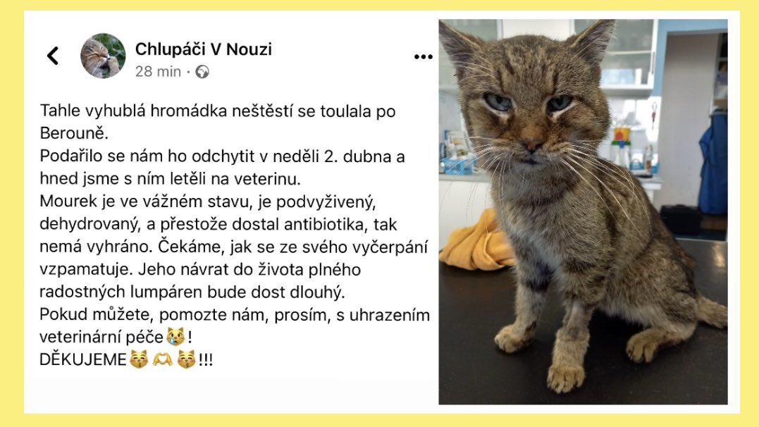 Katka Etrychova tweet media