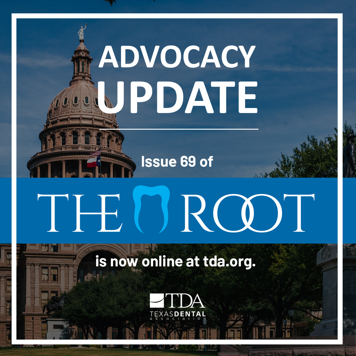 The legislative session is moving full steam ahead, and TDA is advocating every day for you and your patients. To stay up to date on recent legislative developments, read the latest issue of The Root by clicking here: tda.org/advocacy/the-r…