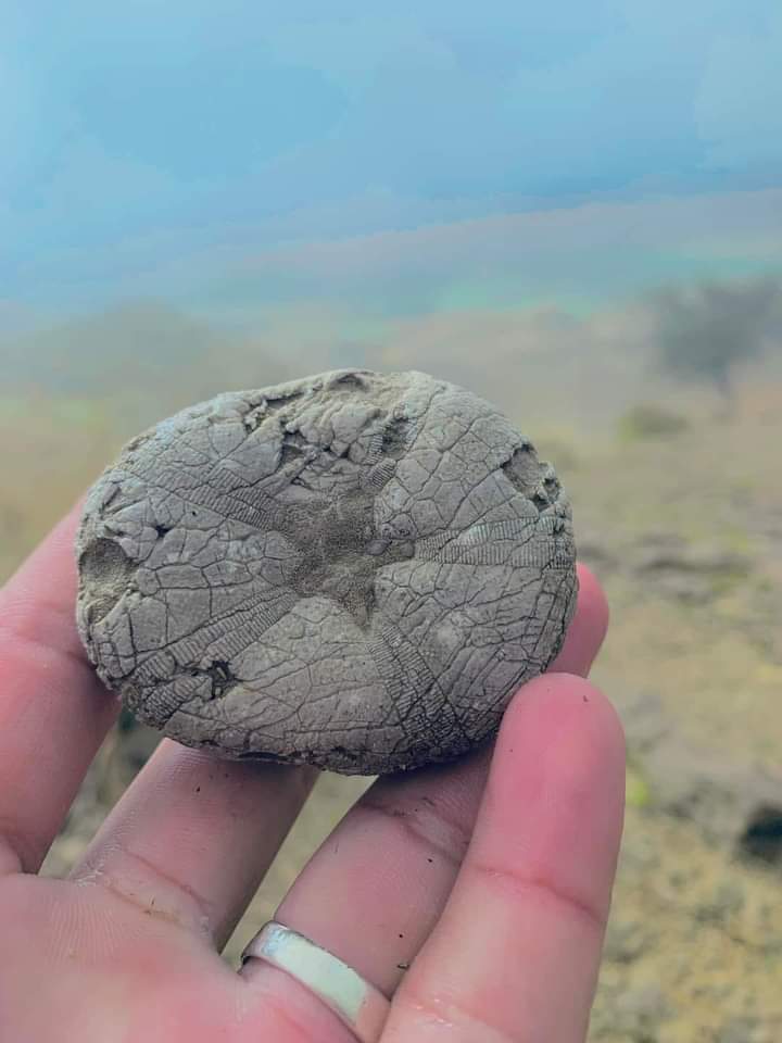 JhonBaloch1's tweet photo. Barkhan Ancient name (Jangja) meaning of Jangja place of battle, meeting of sea creatures and reflection of your eyes. #Barkhan https://t.co/gNtyr3GTTs