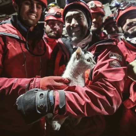 Size de söz...

#DünyaSokakHayvanlarıGünü
#SanaSöz