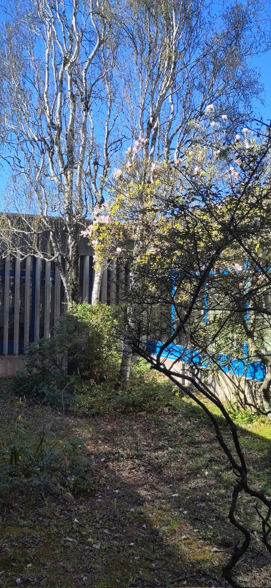 Arrivée à Dijon pour accompagner la dynamique #ESR en Bourgogne Franche Comté.
De belles perspectives en  vue.
<a href="/Univ_BFC/">UBFC - Université Bourgogne-Franche-Comté</a> <a href="/fc_univ/">université de Franche-Comté</a> @utbm_fr @ENSMMOfficiel <a href="/InstitutAgroDjn/">L'Institut Agro Dijon</a> <a href="/ArtsetMetiers_/">Arts et Métiers - ENSAM</a>