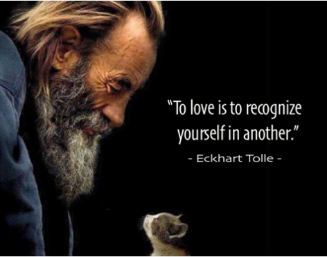 klaus.nrw tweet media