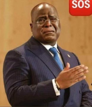 They are calling on the support of powerful countries including the United Kingdom, France, U.S, Uganda and Kenya, among others to use their voices and ask the DRC leadership to stop the turmoil that last there for many decades. #BendeleEkweyaTe 
#FDLRFARDC