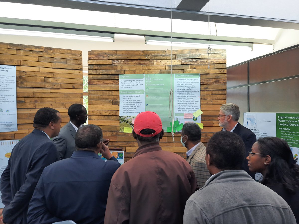ShahidaHussien's tweet photo. Synergizing activities and efforts to deliver science and innovation that advance the transformation of food, land, and water systems in a climate crisis @CGIAR. The successful share fair organized @ILRI  Addis Ababa campus was a big step toward synergy https://t.co/TpBB9F4g5x