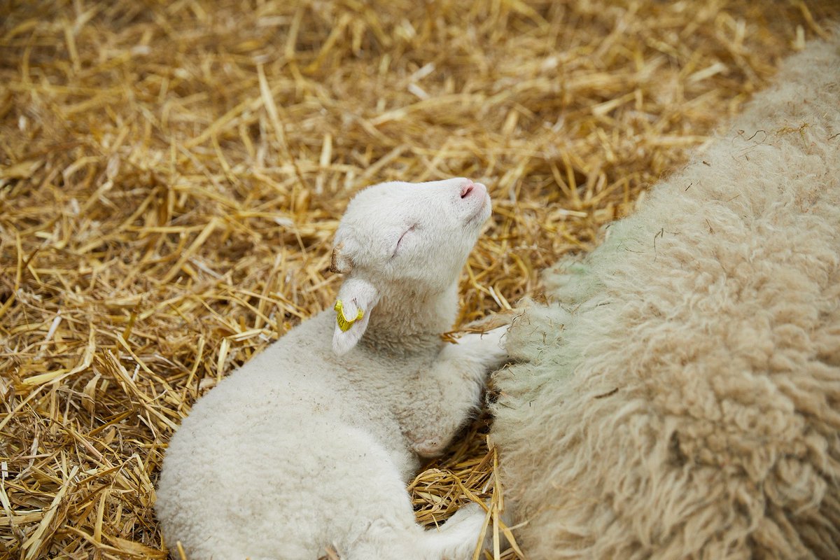 Us, thinking about how we can continue delivering superb education, engagement and culture to the people of Leeds and beyond in this new and delicious funding period as an Arts Council England National Portfolio Organisation x