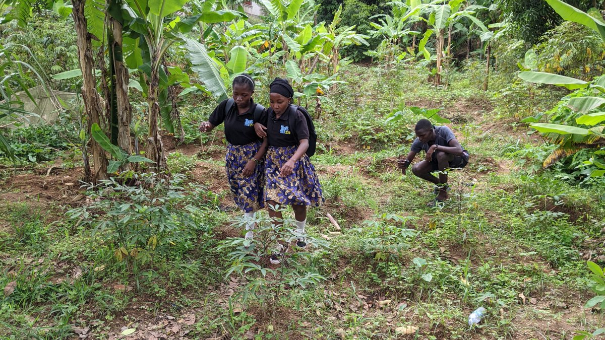 TeensTale256's tweet photo. Content production has no restrictions. Having fun as we develop our abilities. Support our work. #TeensTale256
#contentcreation #Katemba256 #Namuwongo https://t.co/hydybNe0lg